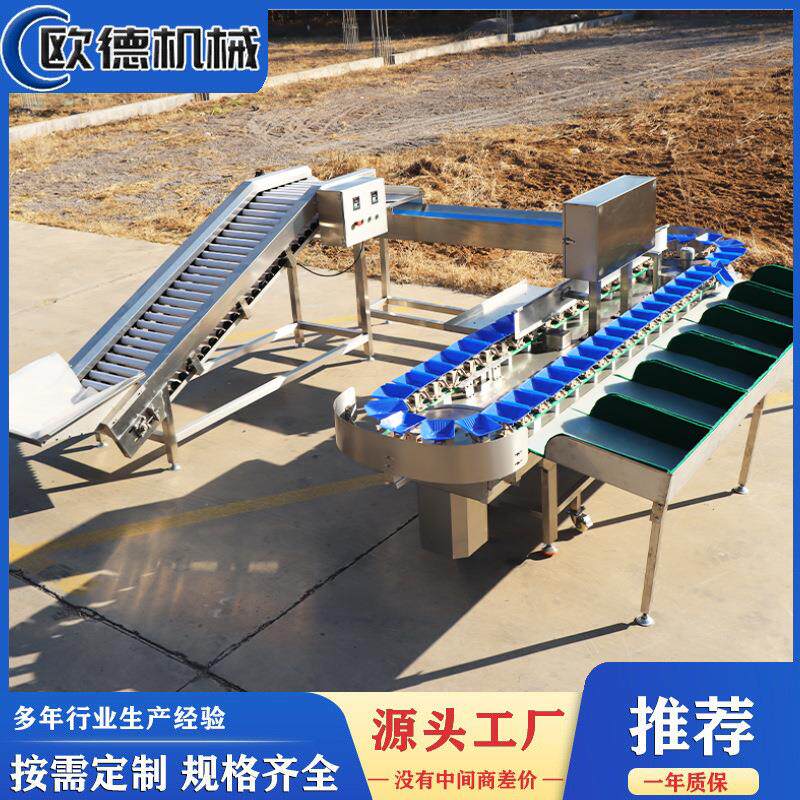 海蛎子重量分选机海产规格分选机 料盒重量分选机生蚝牡蛎分选机