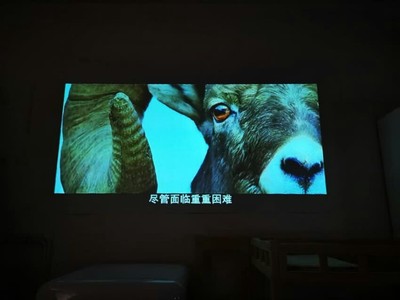 被坑了亦智BH-808H与极米Z6哪款好点？区别大不大？