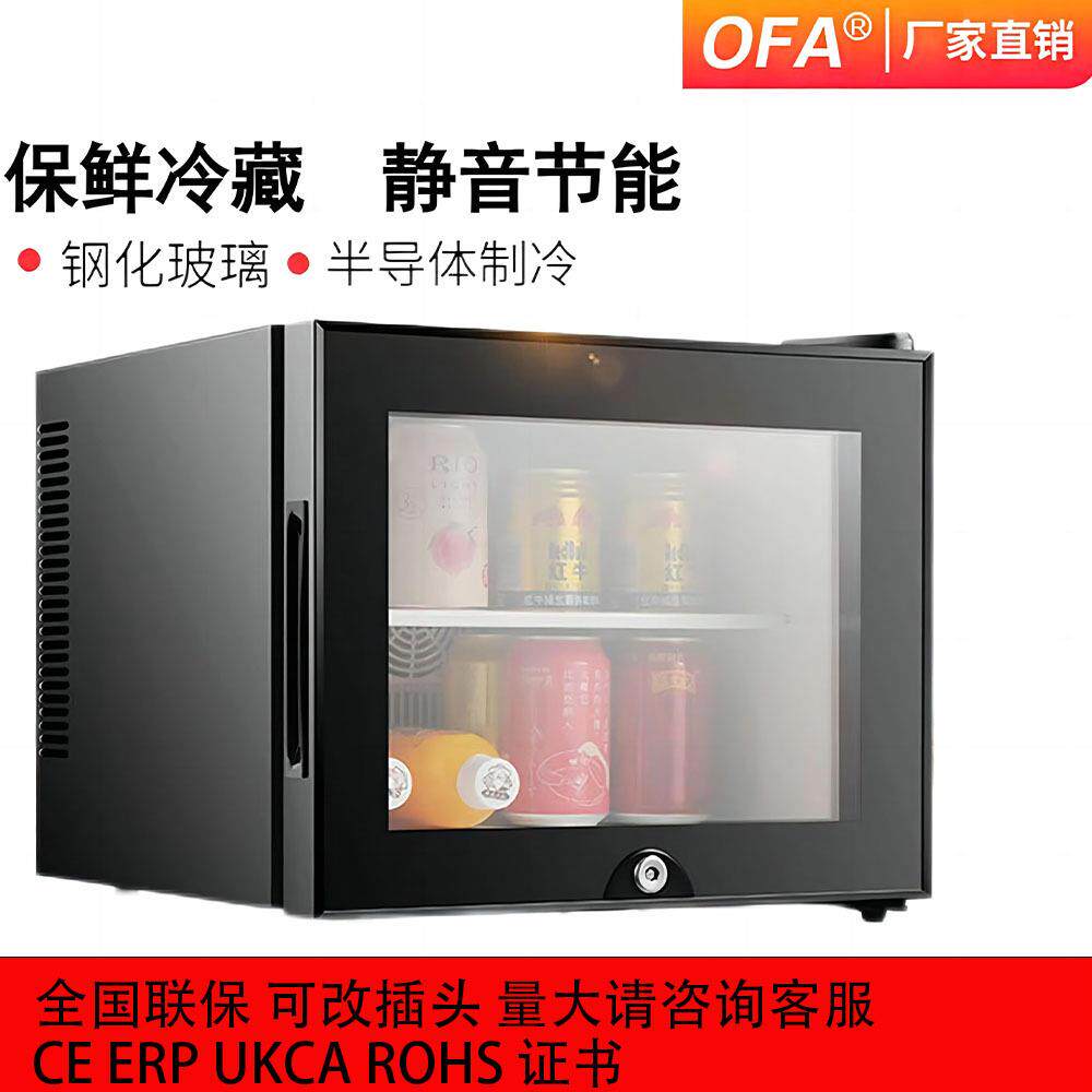 静音家用节能民宿酒店客房小冰箱半导体小型保鲜迷你冰箱冰吧