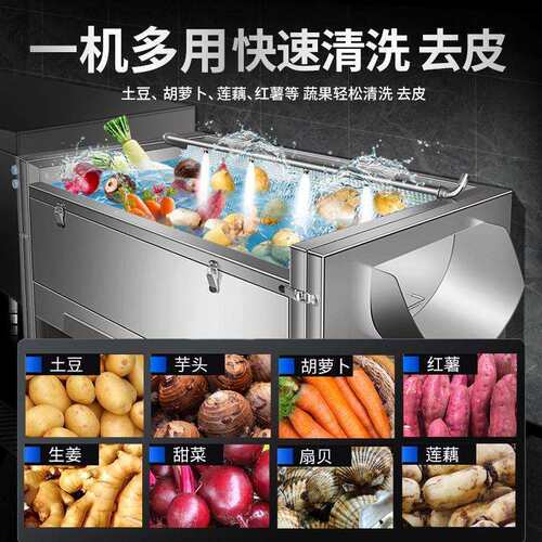 全自动商用毛辊去皮机土豆红薯萝卜莲藕生姜生蚝猪蹄脱皮机清洗机