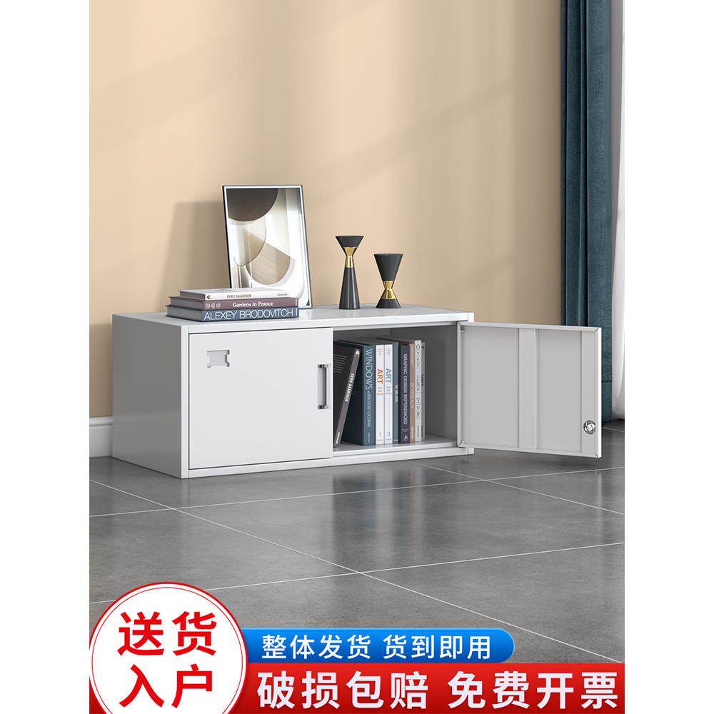 财务单节档案柜凭证柜办公资料柜文件柜铁皮柜带锁小矮柜家用书柜