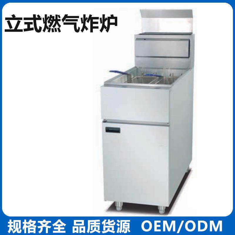 立式油炸锅单缸双筛控温煤气炸炉天然气恒温炸鸡炉油炸机炸炉