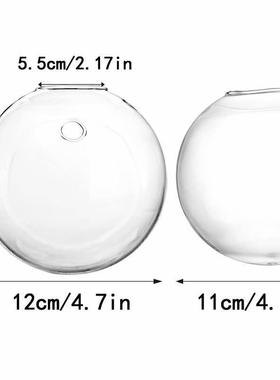 6个装透明圆形壁挂水培植物花瓶创意悬挂式墙壁玻璃花瓶家居装饰