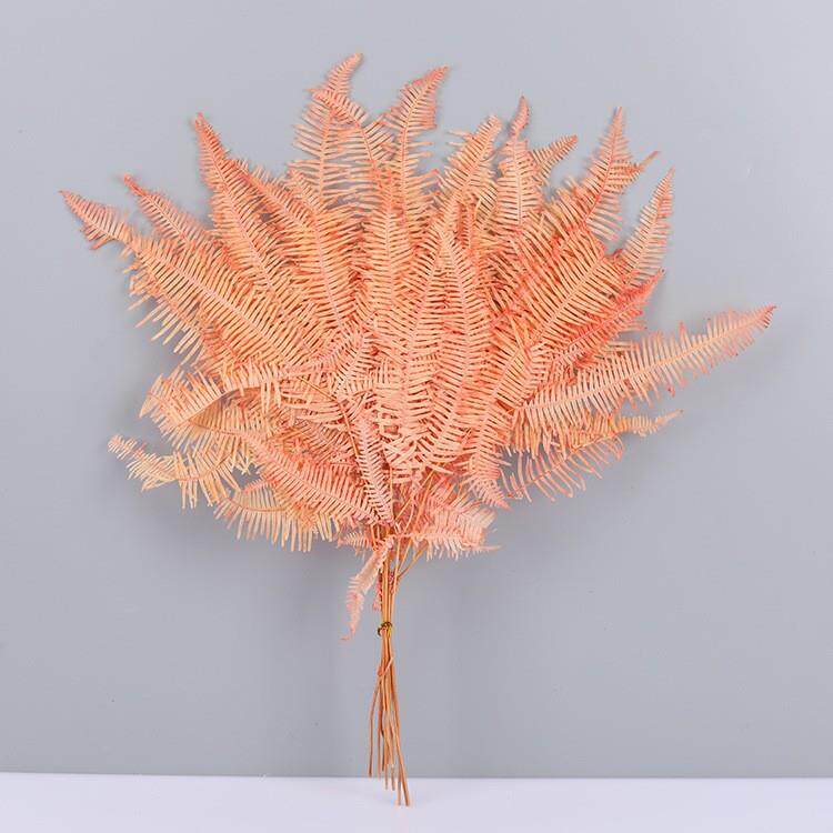 云南干花永生花蕨叶永生花龙须草保鲜花高山羊齿叶diy手工花材