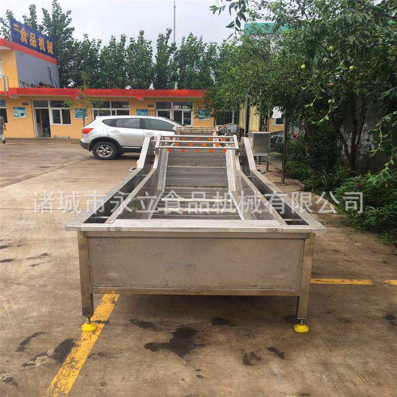 口味虾全自动暂养清洗蒸煮冰水冷却线不锈钢龙虾加工成套设备
