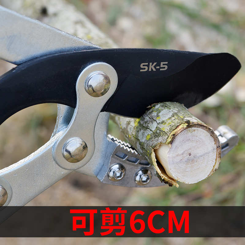工具粗剪剪大力强力剪剪刀剪花树枝高枝园艺枝枝园林果树剪枝修剪