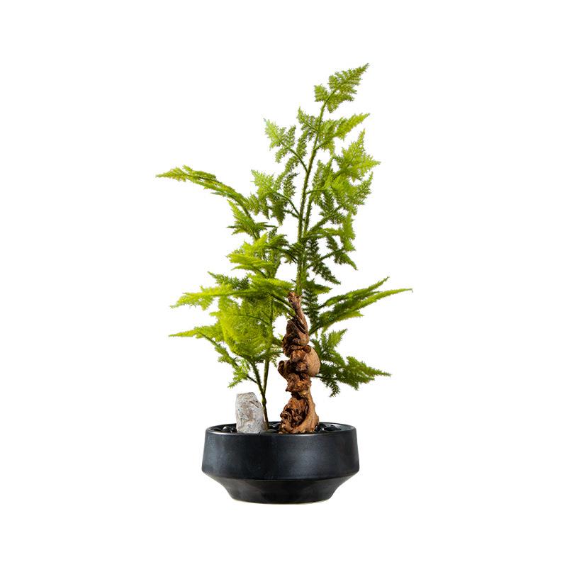艺贝子新中式日式仿真文竹绿植盆景书房书桌售楼部洽谈桌盆栽摆件