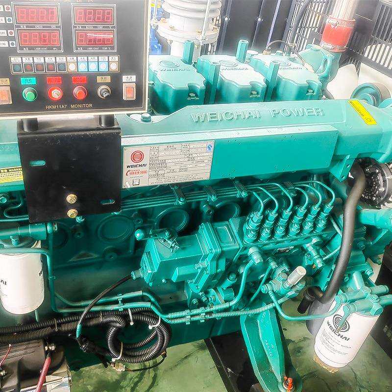 机柴潍油潍柴300千瓦发电机坊单缸双杠发动总成1000kw静潍柴16KW