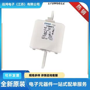 伊顿巴斯曼快速熔断器170M6549 170M6812 170M4410 170M5460原盒