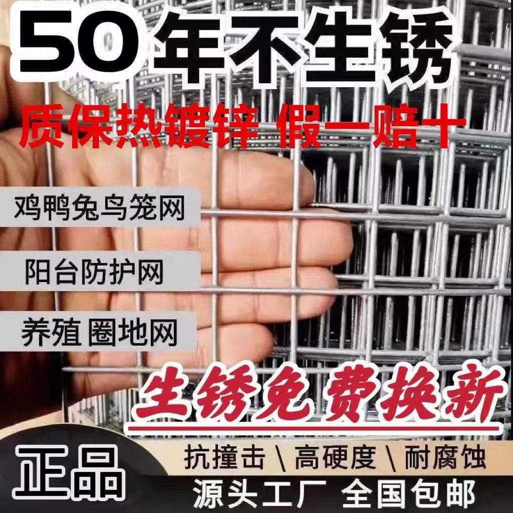 热浸镀锌电焊网养殖网格铁丝网围栏阳台加粗防护围栏网格小孔
