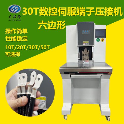 立海隆30T吨数控伺服端子机新能源大平方线束加工铆压智能压接机