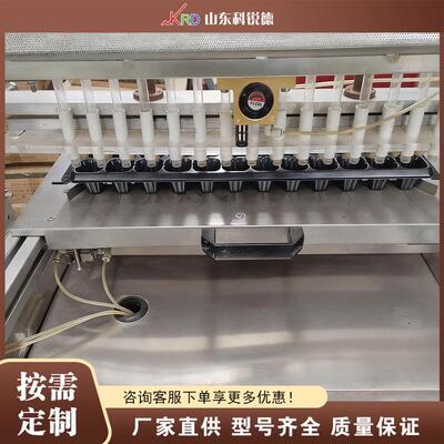 覆土播种穴盘育苗机Seed Plug Tray Seedling Raising Machine