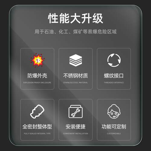 DS24T4-1/2NPT防爆型温度变送信号EX两三四线仪表管式信号防雷器