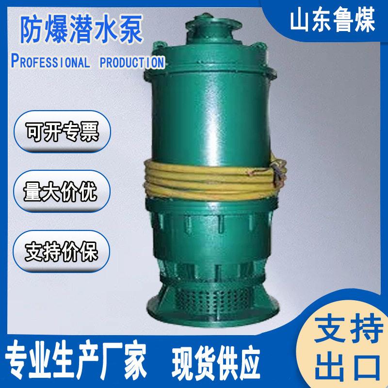 BQS25-15/3kw防爆潜水泵大流量潜水泵厂家经营潜水泵