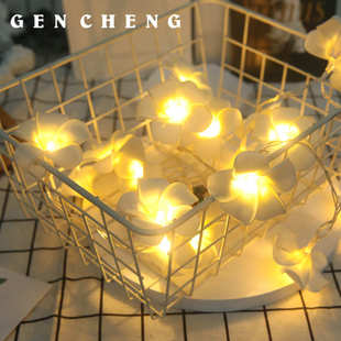 饰彩灯串 LED彩灯闪灯串满天星星灯求婚告白婚房布置灯鸡蛋花灯装