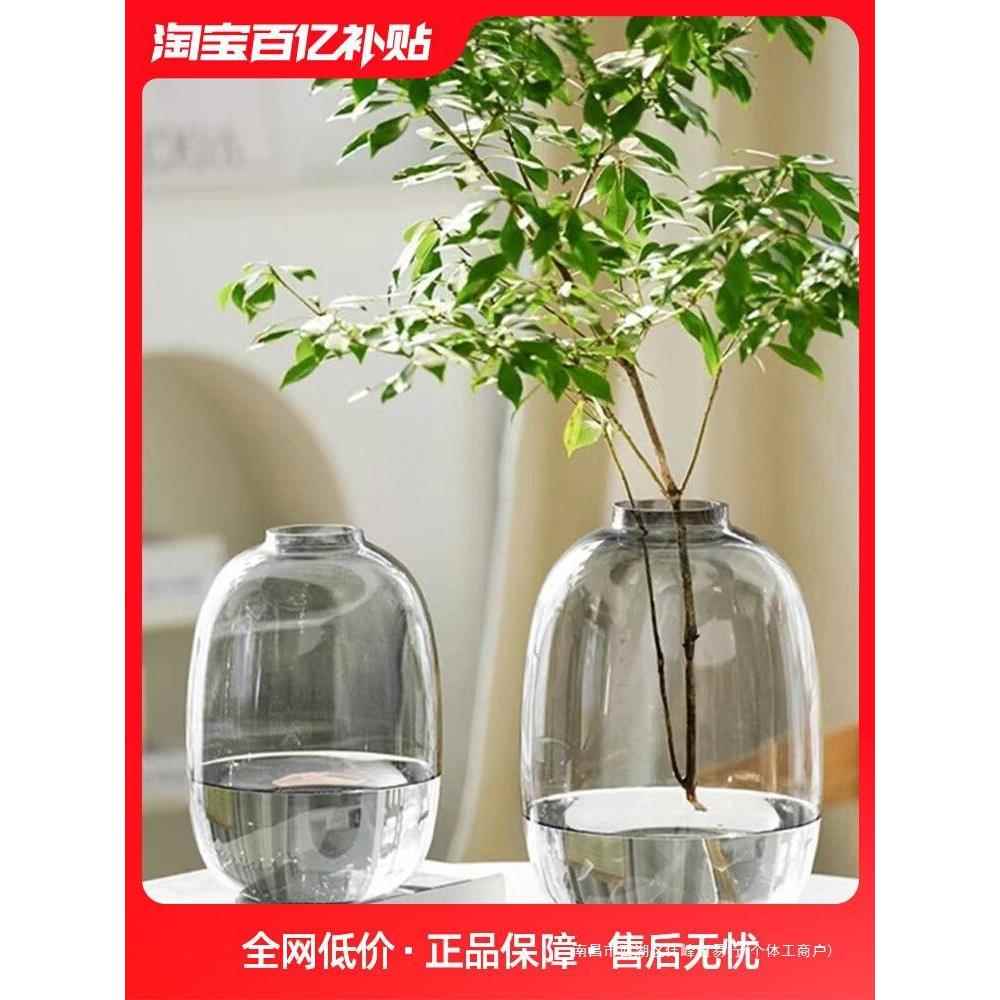 轻奢龟背竹玻璃花瓶摆件水培吊钟雪柳马醉木水养插花客厅落地装饰图片
