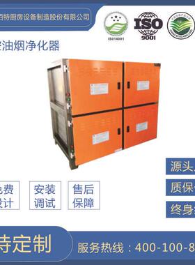 油烟净化器厂家销售厨房抽排系统不锈钢烟罩油烟净化器