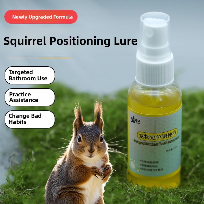 Squirrel Fixed-Point Toilet Defecation I