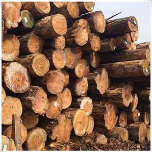 古建筑原木杉木树桩带皮圆木松木桩防腐木头桩方木条实木原木大板