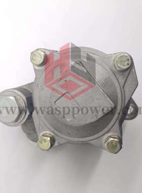 ISF3.8转向泵4891342