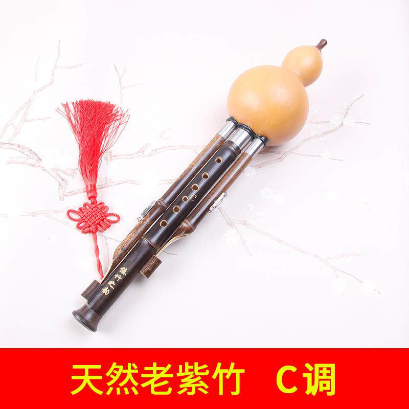 高档傣竹 之韵专业奏型录音型葫芦丝 降b调 C演 成人乐器云调南