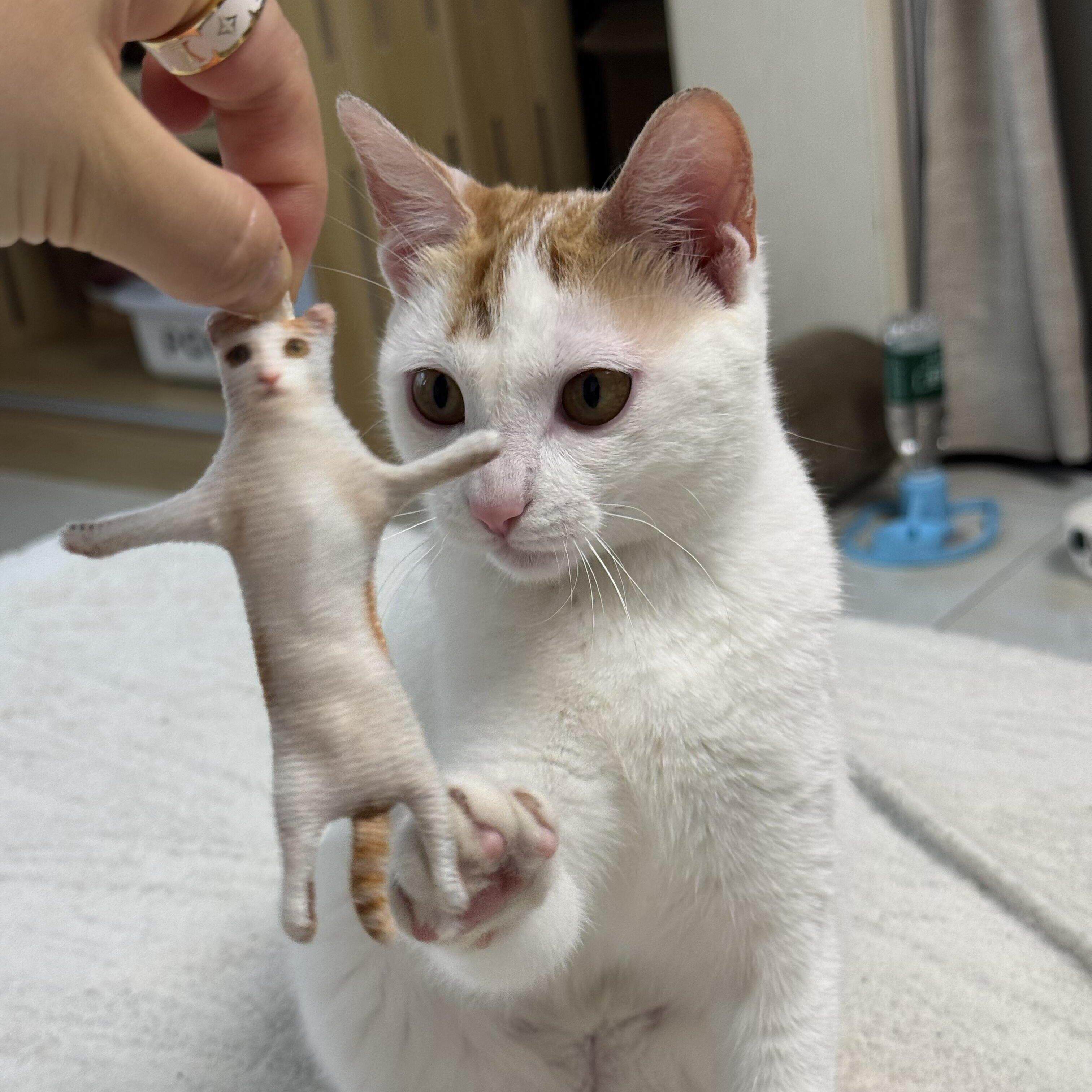 猫猫老鼠干创意可爱宠物乳鼠干趣味含骨架挂件来图定制毛绒钥匙扣