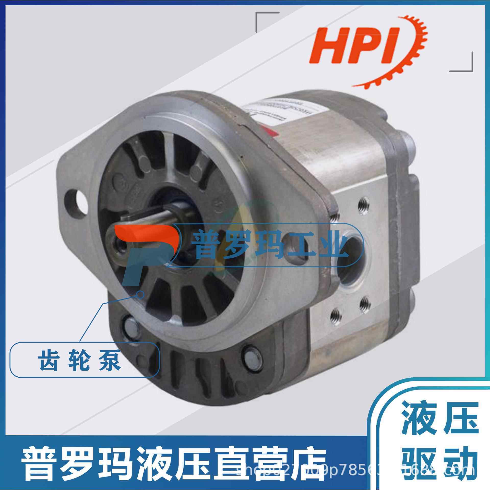 法国进口HPI 进口高压油泵 P1BAN2022BL10B02N齿轮泵法国进口油泵