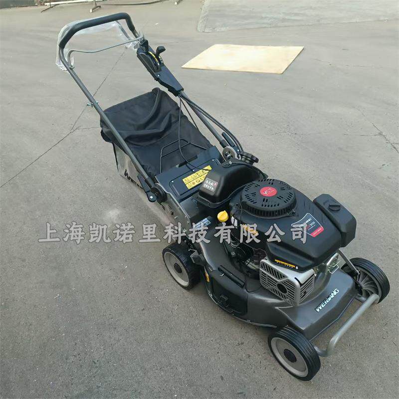 维邦WB538SCV-3IN1-MG马尼拉专用割草机自走钢底盘21寸割草草坪机