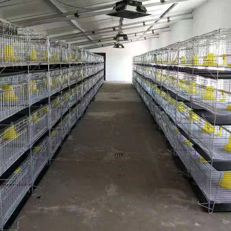 育雏鸡笼小鸡笼立式肉鸡笼家用养殖场用育雏鸡笼