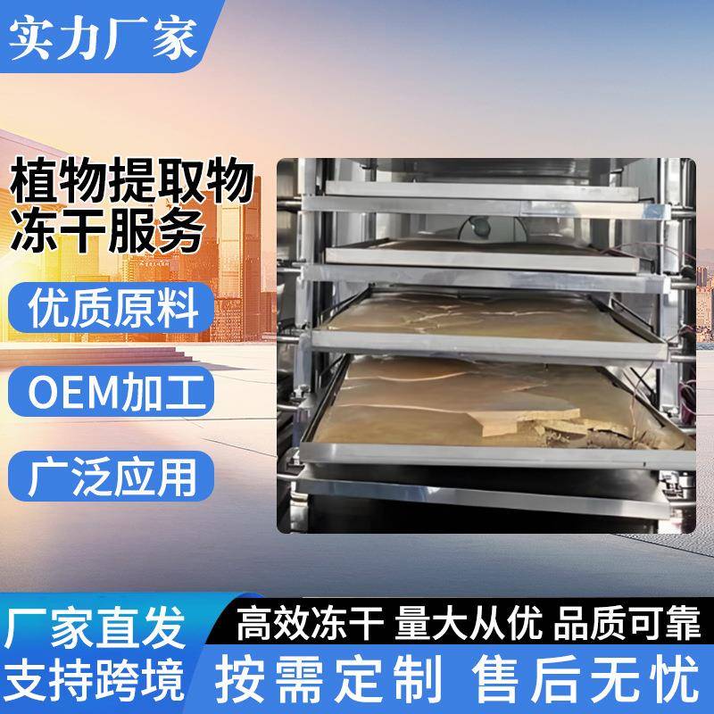 冻干服务厂家植物提取物冻干服务红景天人参冻干工艺OEM/ODM加工