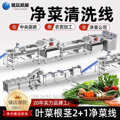 旭众叶菜根茎生产流水线 线净菜加工气泡洗菜机商用大型蔬菜清洗