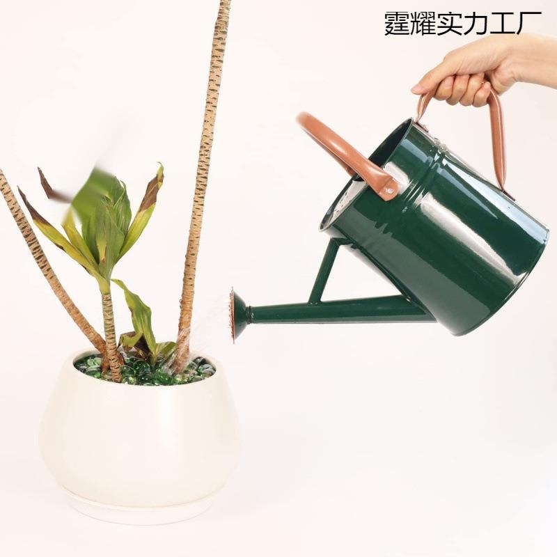 欧美高品质洒水壶浇花壶两用4L