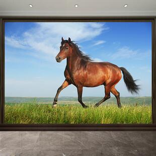 骏马一匹马吃草的马野马动物画白马黑马办公室贴画书房挂画旺宅画