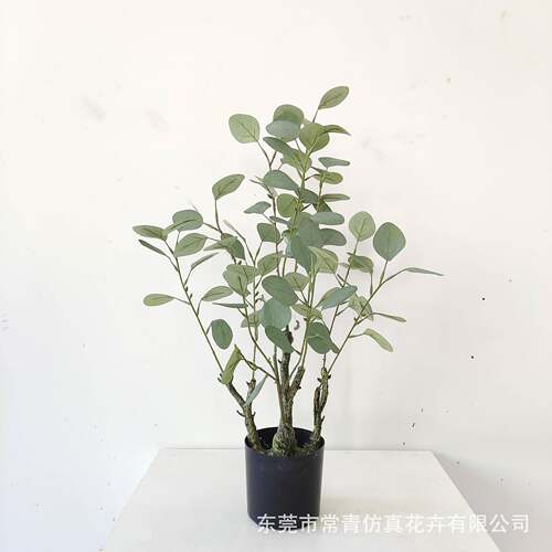 仿植物装饰假绿植盆栽摆件金CQ001钱霜色尤利叶加现树货现货速真