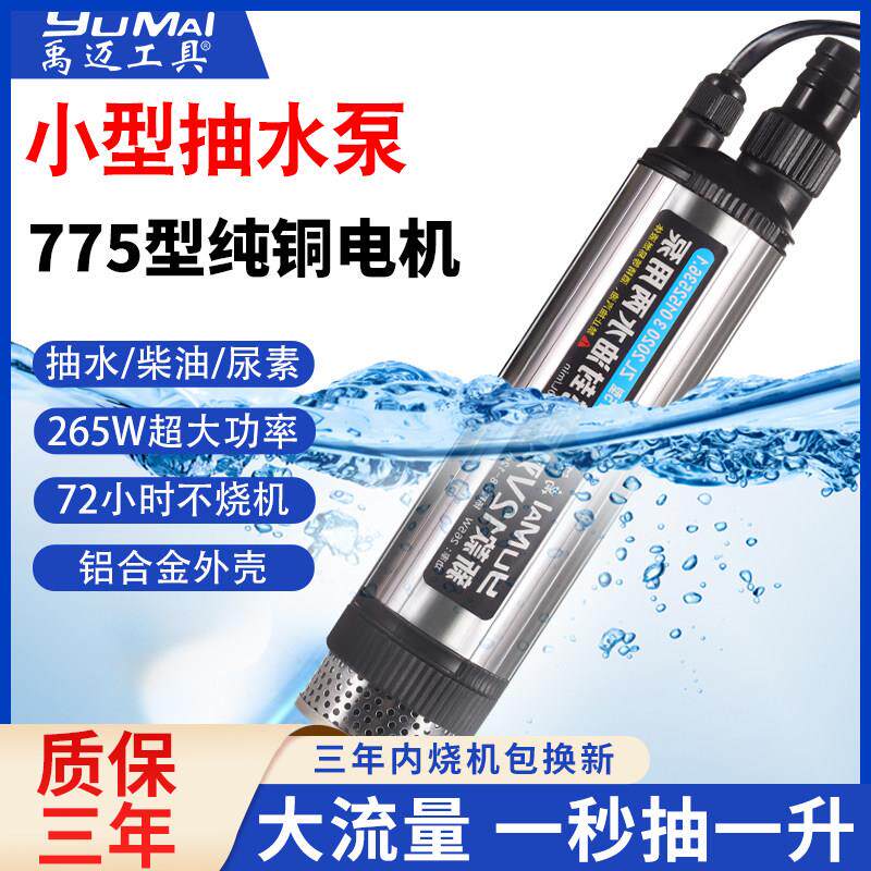 265w小型电动抽水泵抽海水车载12v直流大功率家用220v潜水泵24伏