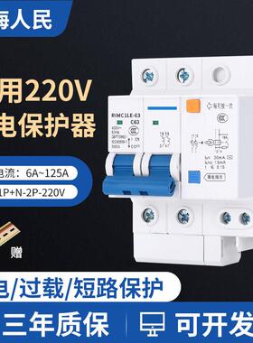 上海人民家用漏电保护器DZ47LE-63总闸空气开关空开2P漏保开关32A