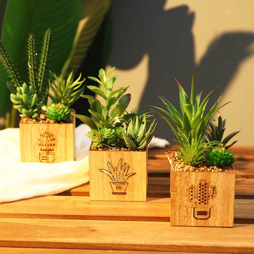 仿真多肉摆件植物小盆景仙人掌装饰绿植办公室迷你客厅假花仿真花