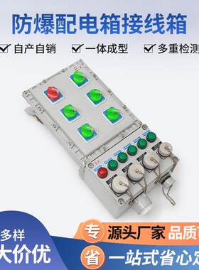 厂家防爆配电箱动力检修电源箱接线箱BT4防爆插座箱仪表箱