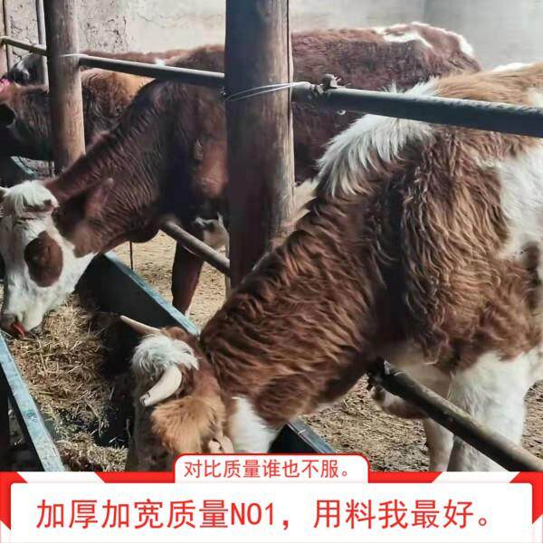 牛槽子羊槽子喂牛羊饮水喂食槽可翻转式食槽马料槽驴料槽养殖家用