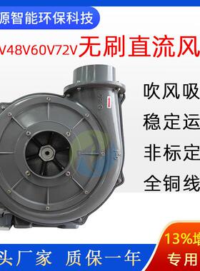 2200w清扫车48V直流风机直叶式吸树叶杂草PF150-3透浦式负压风机