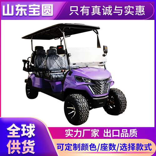 电动高尔夫球车机场摆渡旅游景区公园接待游览越野电动高尔夫球车