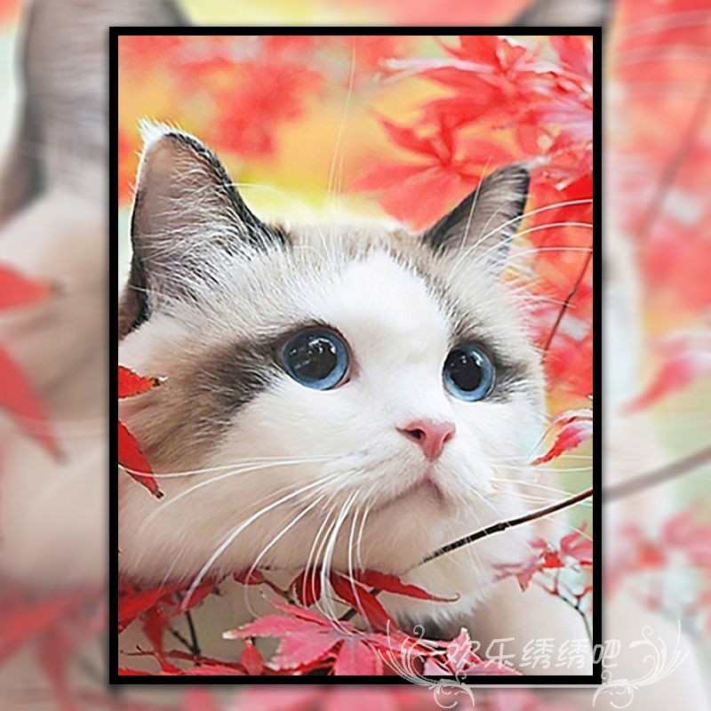 可爱布偶猫十字绣自己绣新款少女房间 猫咪diy礼物满钻手工钻石画