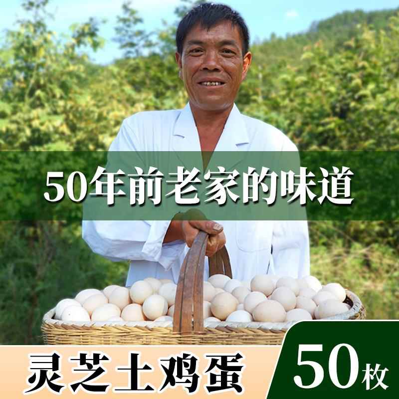 顺丰包邮灵芝鸡蛋50枚装林下放养谷物喂养新鲜有机土鸡蛋
