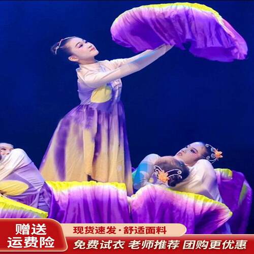 六一儿童古典舞演出服女艺考飘逸扇子舞十八焕蝶梦碟飞舞蹈表演服
