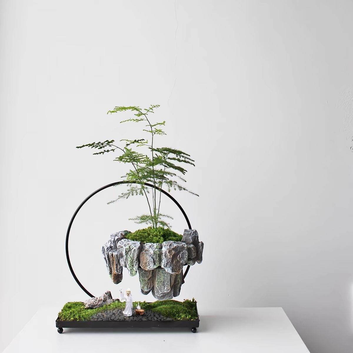 文竹中国办公室桌面客厅室内花卉植物玄关盆栽绿植盆景摆件创意丿