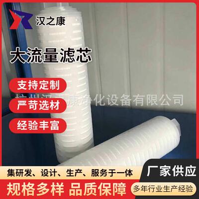过滤器PVDF膜折叠芯片裙边折叠芯片微孔膜滤芯PTFE除菌滤芯