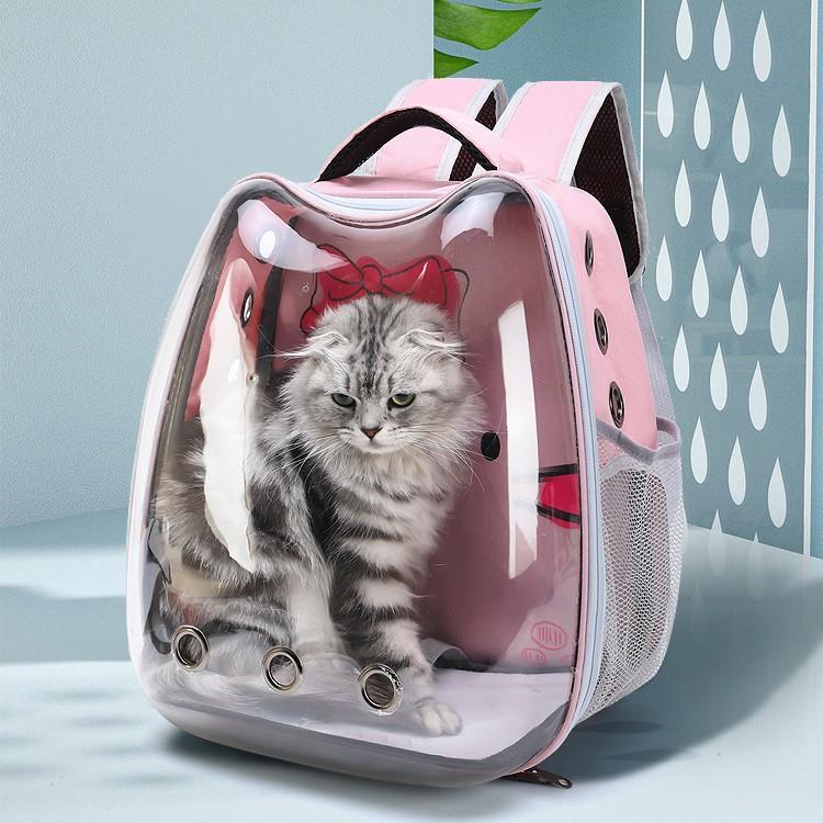 时尚卡通猫包大容量透明双肩宠物包透气宠物航空箱猫咪便携外出包