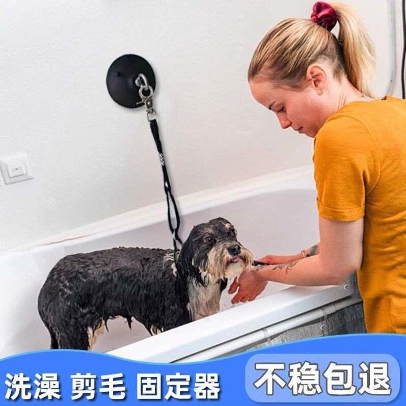 猫咪防跑绳狗狗剪毛美容台吊绳宠物店专用洗澡固定器带吸盘狗桩
