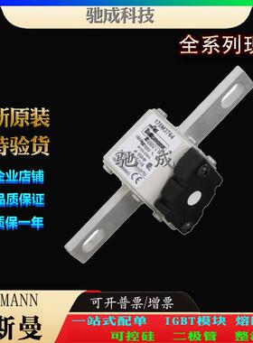 巴斯曼170M3763 170M3764 170M3765 厂家直供零售 低压保险丝