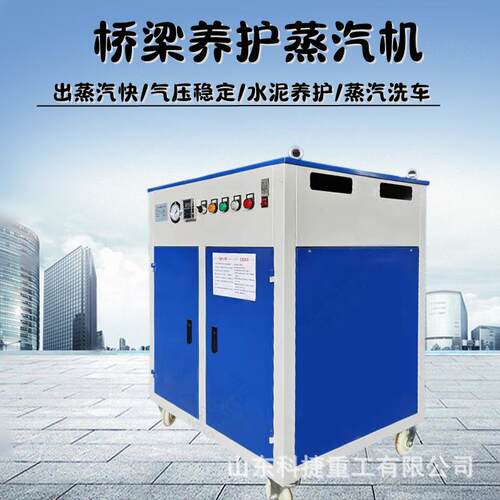 电加热蒸汽发生器煮豆浆洗车机桥梁养护工业节能电锅炉